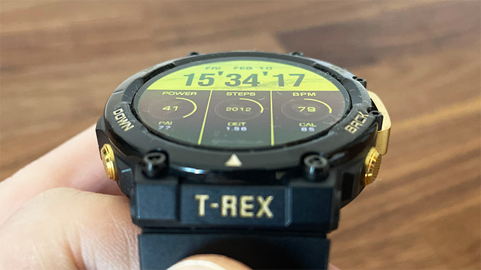 Goodness Cretaceous: A Smartwatch Skeptic's Take on the Amazfit T-REX2